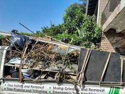 Best Dumpster Rental Services  in Buies Creek, NC